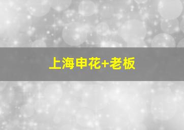 上海申花 老板